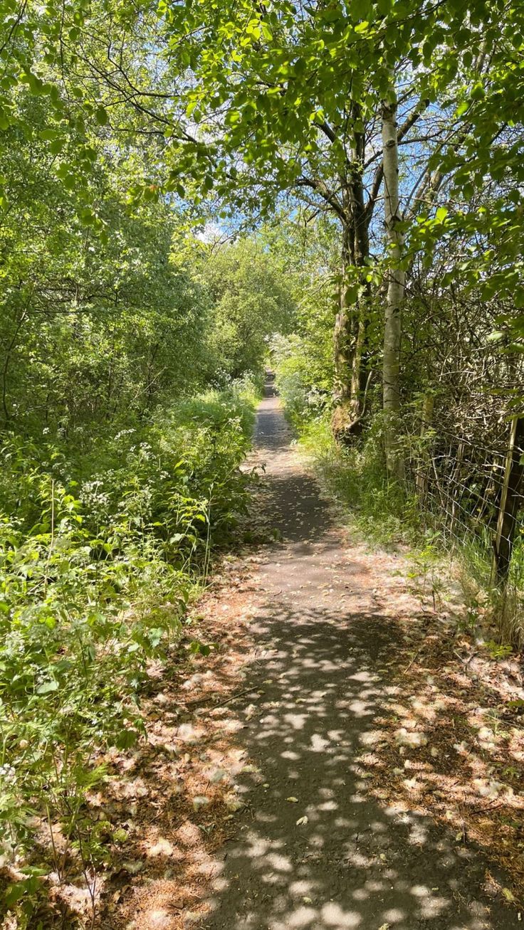 a dirt road surrounded by trees and grass