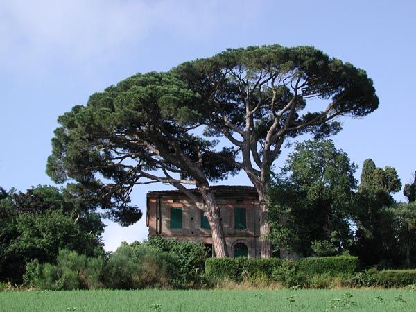 an old building is surrounded by trees in the middle of a green field with tall grass