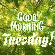 the words good morning tuesday are surrounded by green leaves and sunlight shining through the trees