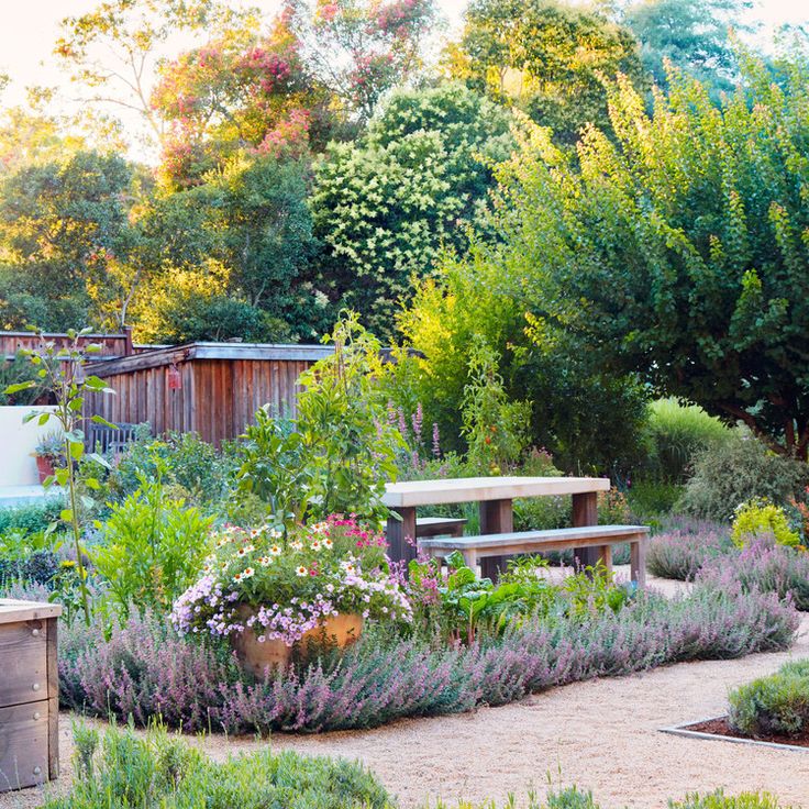 the garden is full of plants and flowers, including lavenders in pots with benches