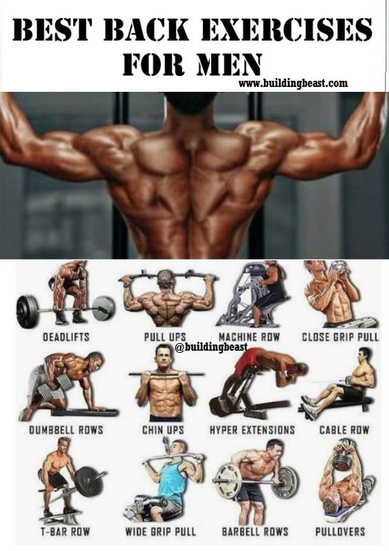 the best back exercises for men to build muscle muscles and gain absorptions