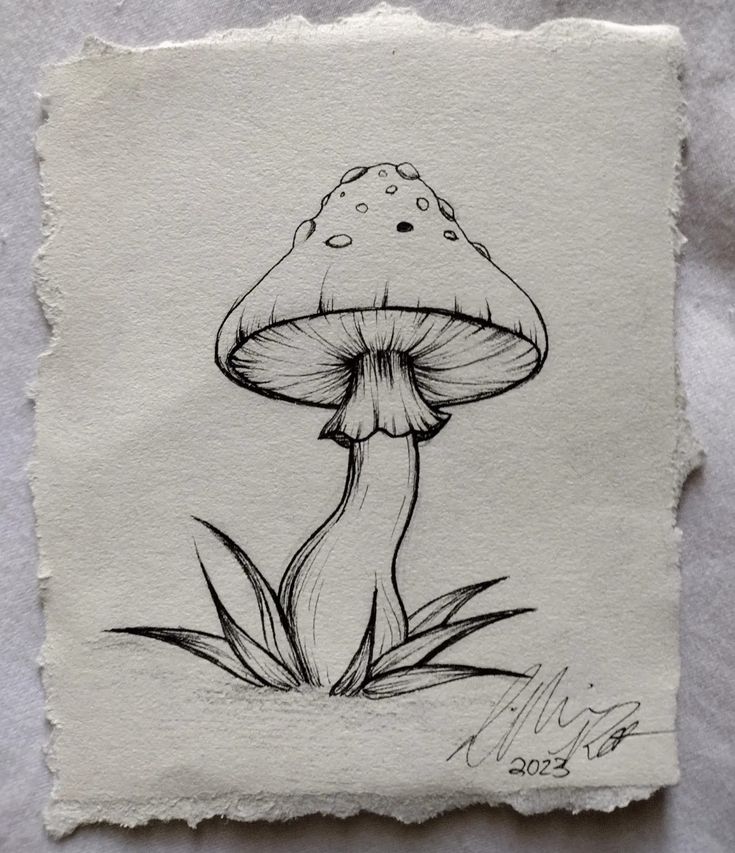 a drawing of a mushroom sitting on top of a piece of paper