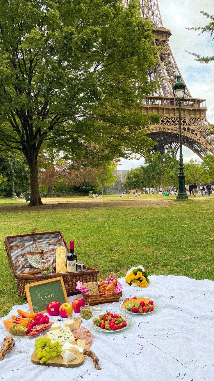 the picnic is set out in front of the eiffel tower