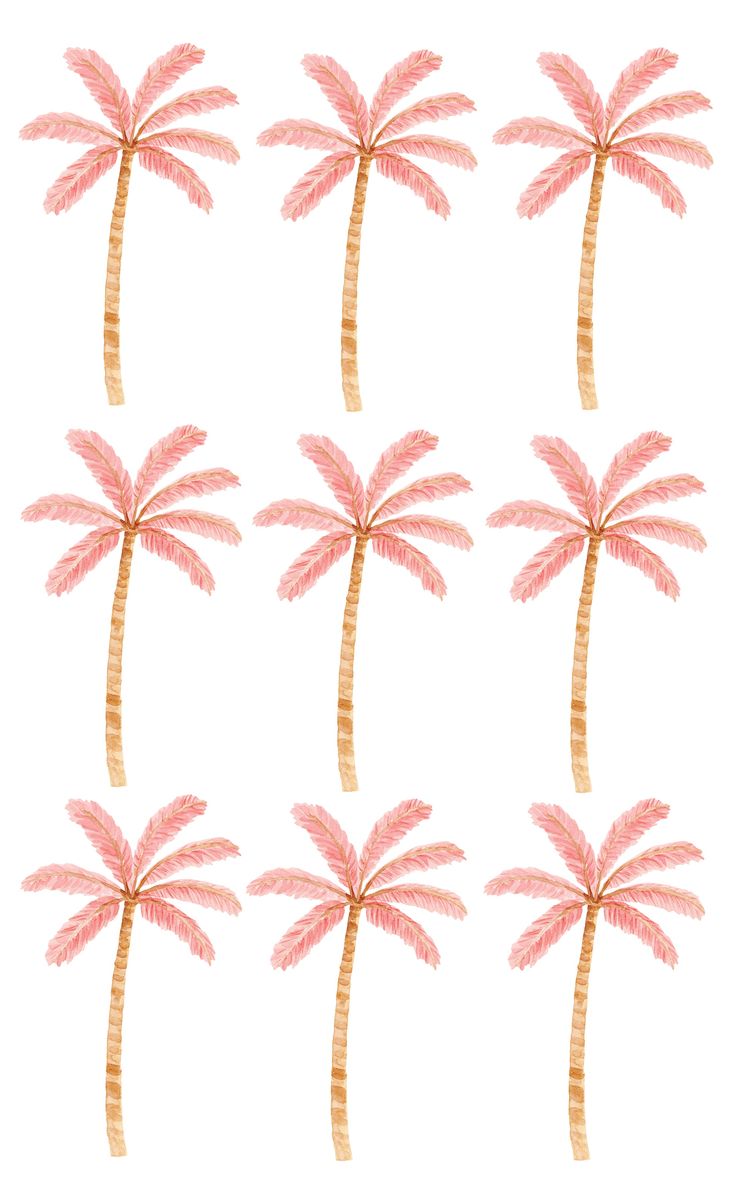 six pink palm trees on a white background