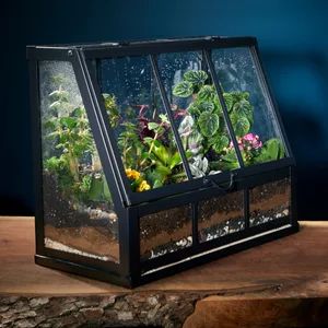 a small greenhouse with plants in it on top of a wooden table next to a fire hydrant