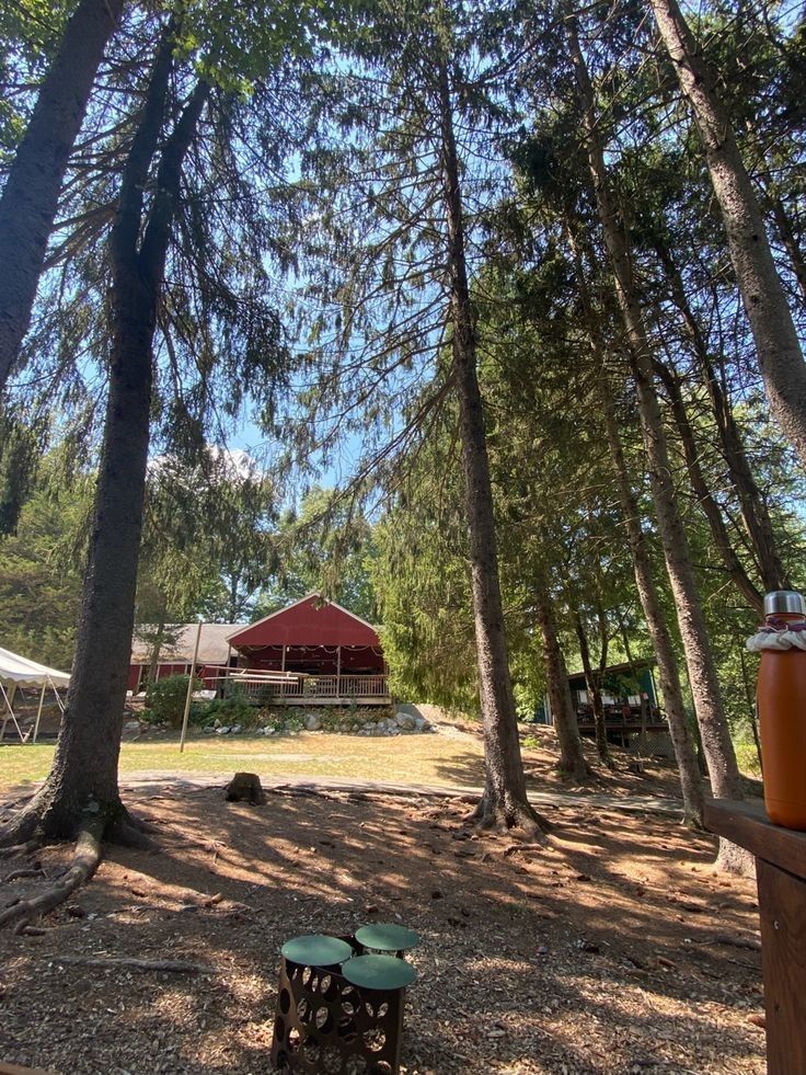 a picnic table in the middle of a wooded area