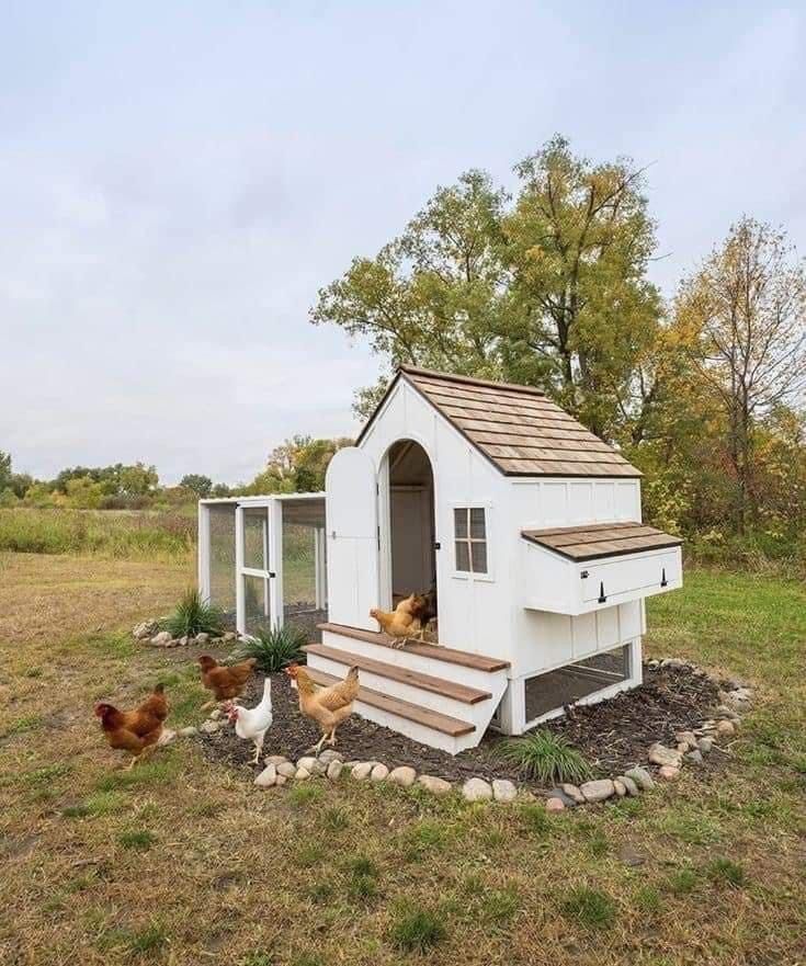 chickens are outside in the grass near a chicken coop with stairs leading up to it