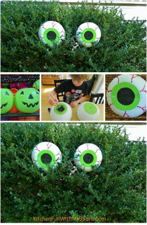 an eyeball is placed in the top of a bush with eyes painted on it