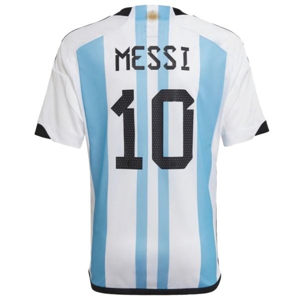 a soccer jersey with the number 10 on it, in white and light blue stripes