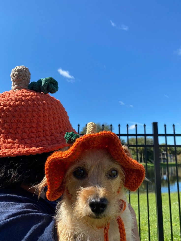 a small dog wearing an orange crocheted hat on top of it's head