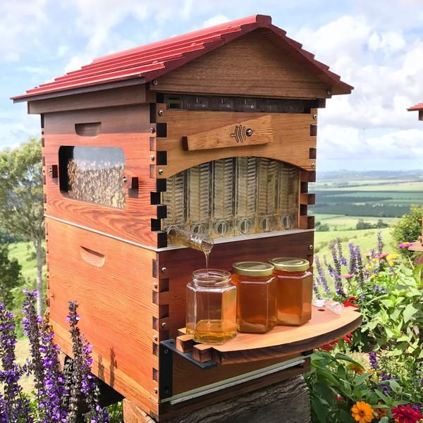 a beehive with honey in it and two jars on the outside, surrounded by wildflowers