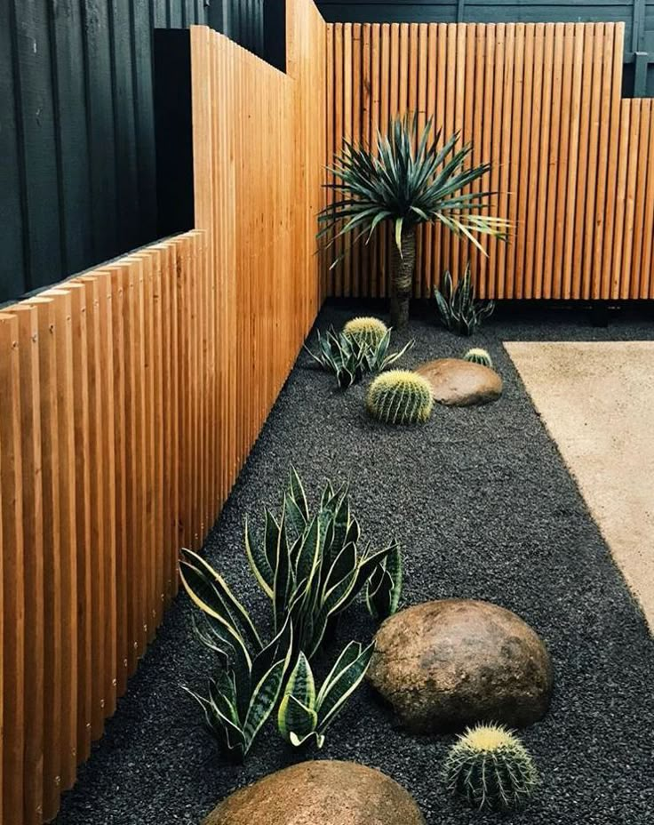 a screen shot of an instagram page with plants and rocks