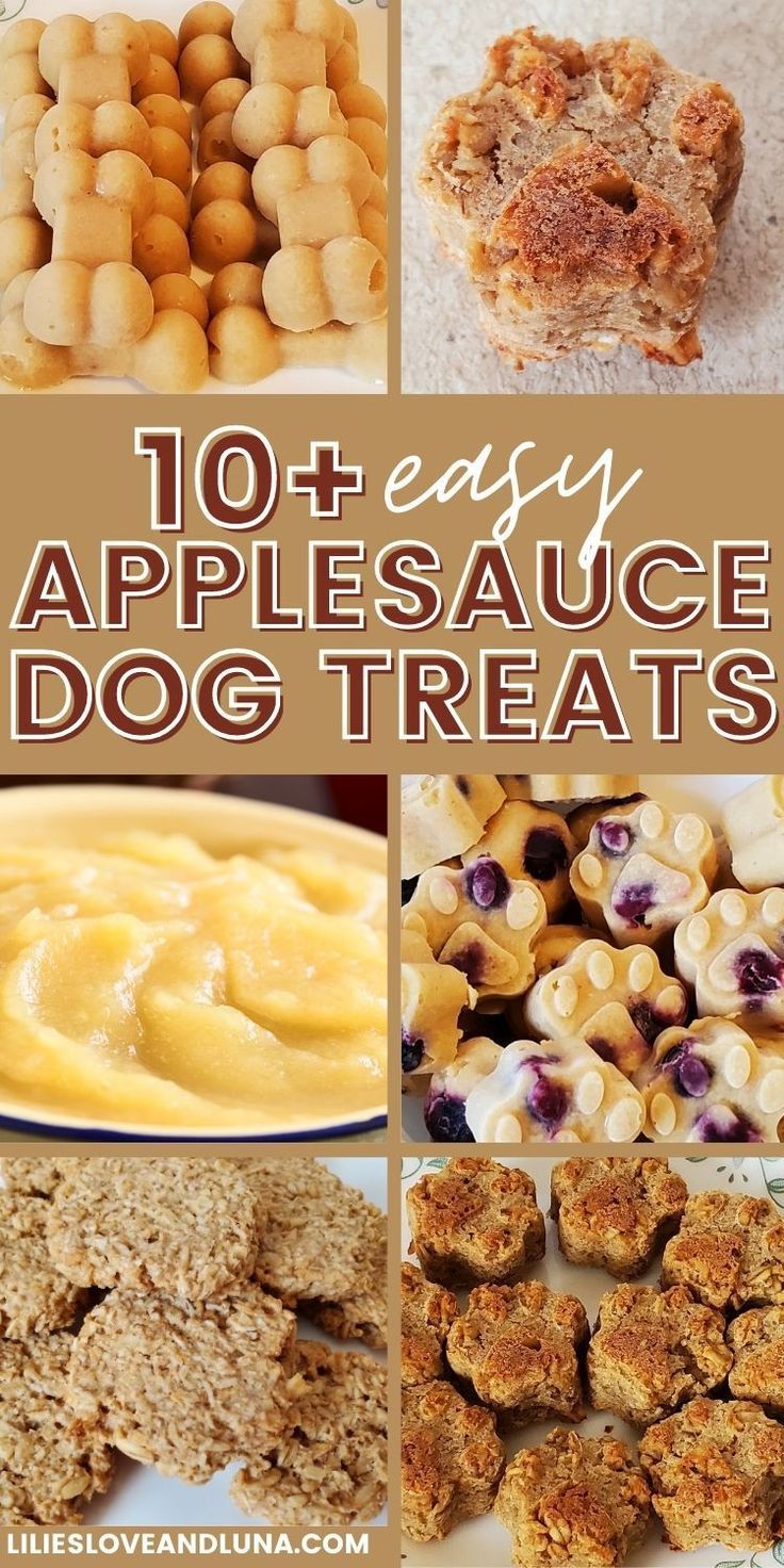 the top ten apple sauce dog treats are shown in this collage with text overlay