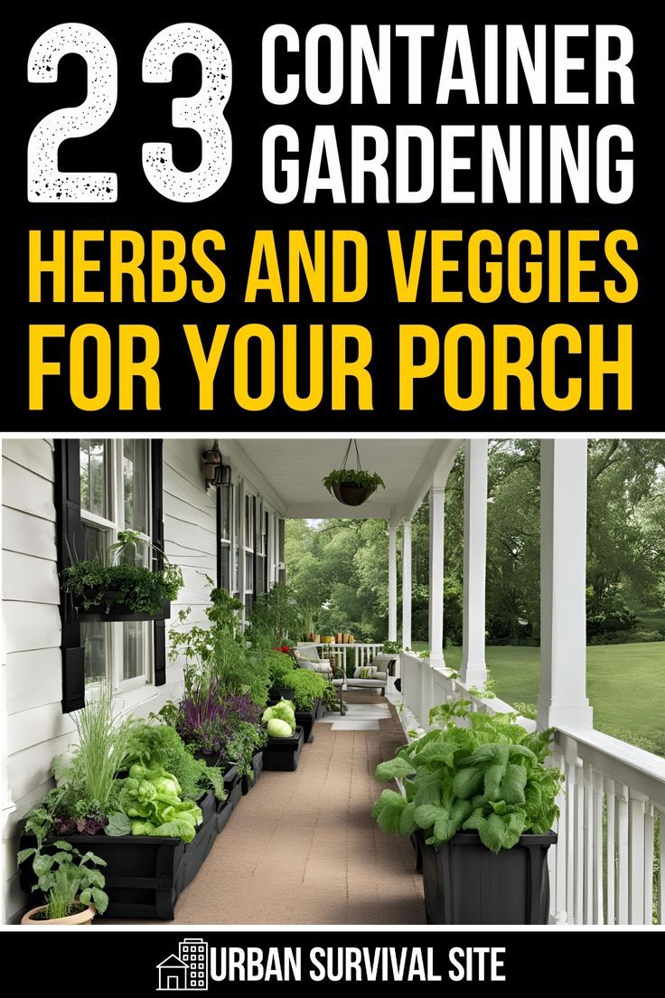 the cover of 23 container gardening herbs and veggies for your porch by urban survival site