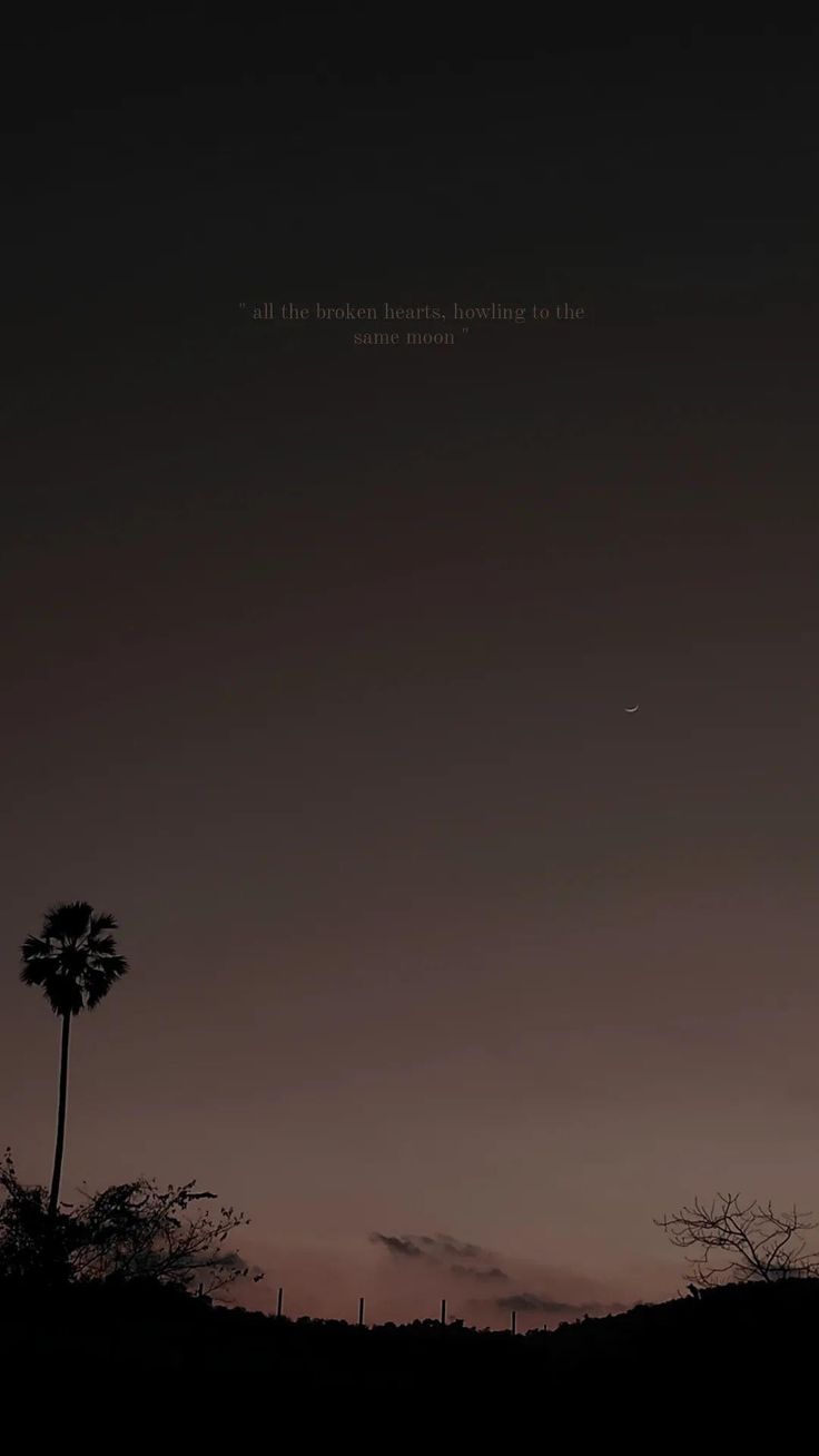 the silhouette of two palm trees against a dark sky