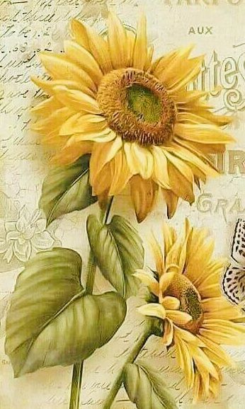 two sunflowers and a butterfly on a piece of paper