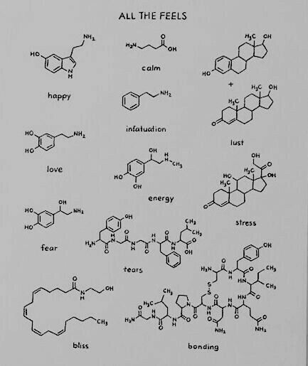 an image of the chemical formulas for all the feels