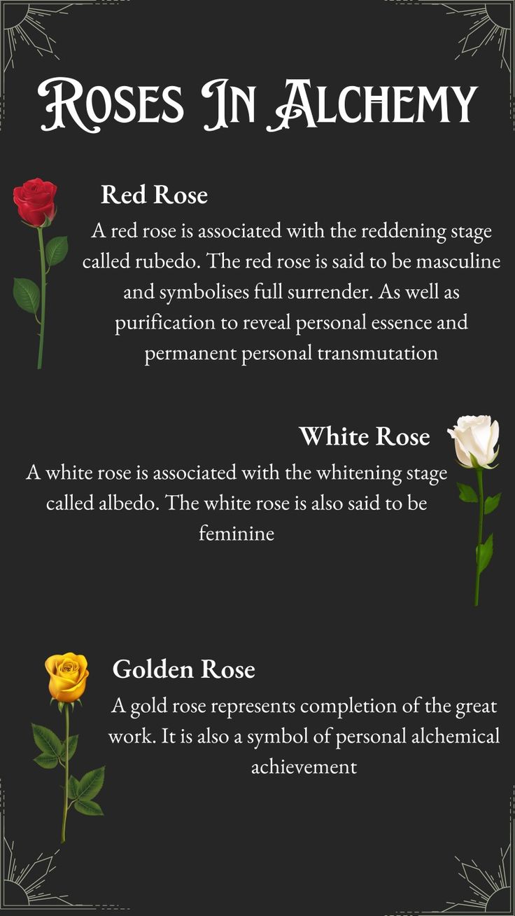 roses in alchemy info sheet