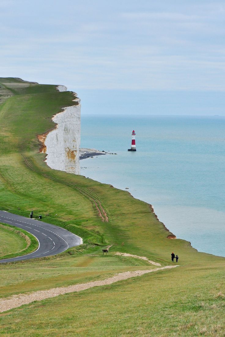 two sheep standing on top of a lush green hillside next to the ocean with a lighthouse in the distance