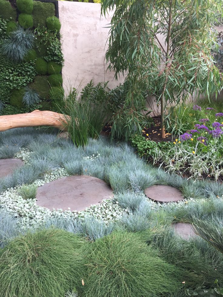 an outdoor garden with rocks and plants