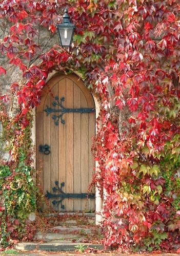 an old door is surrounded by vines and leaves