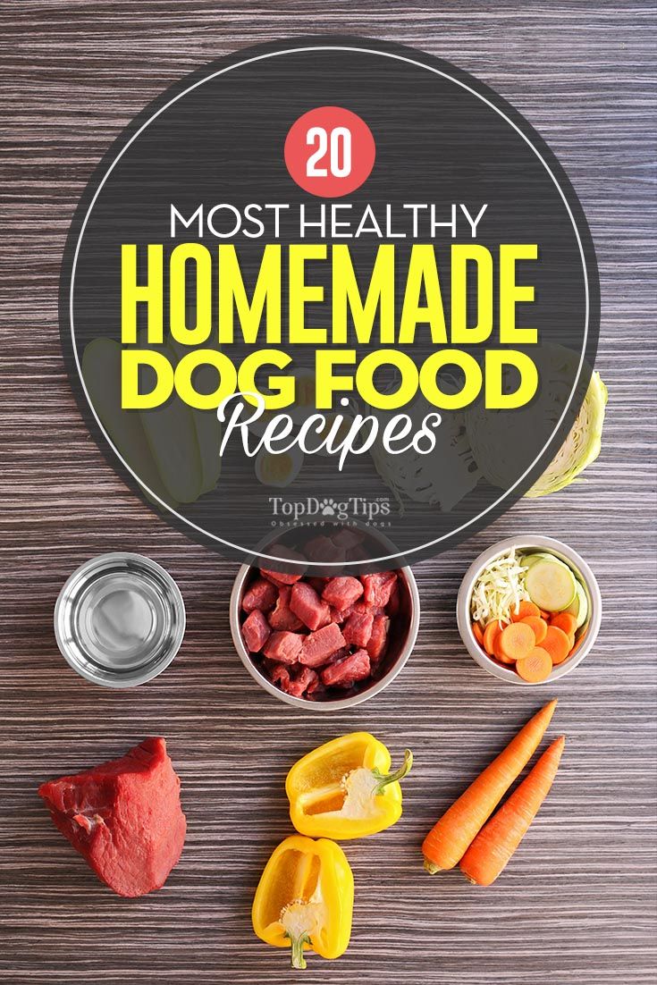 the cover of most healthy homemade dog food recipes