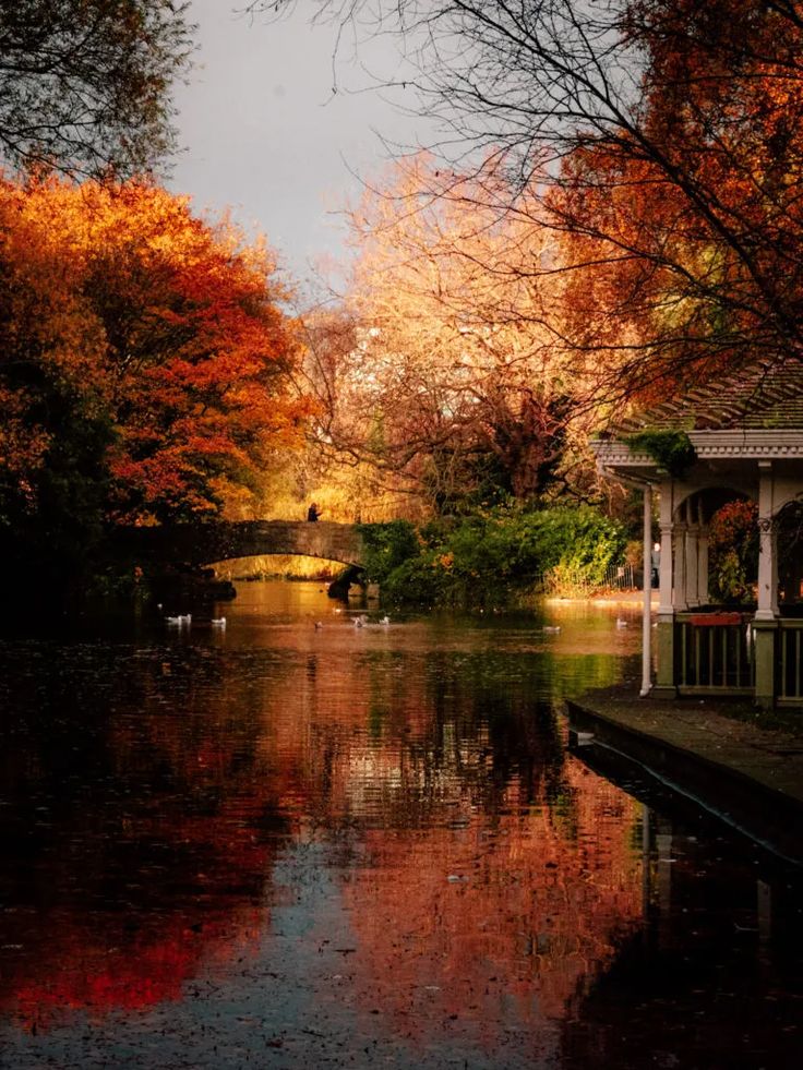 a gazebo sitting next to a body of water surrounded by trees with orange and red leaves