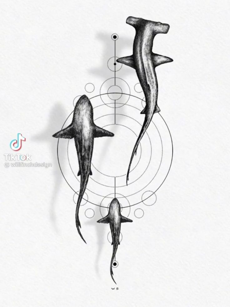 two dolphins are depicted in this artistic drawing