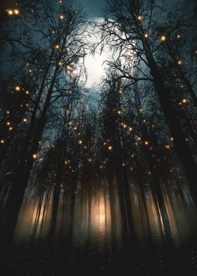 the trees are covered with lights in the dark forest at night, while the moon shines brightly above them