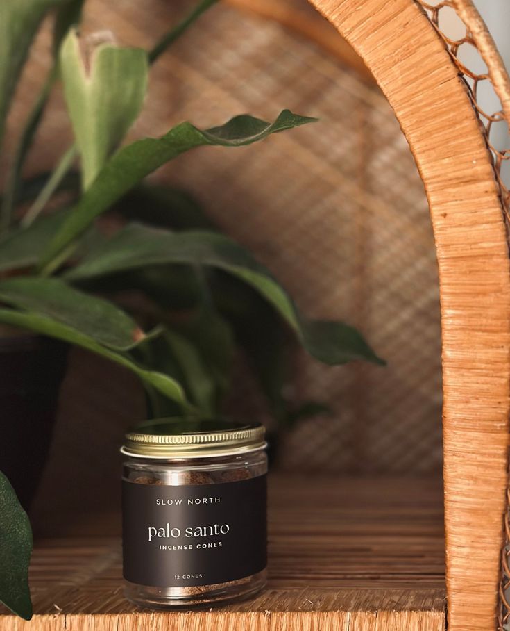 a potted plant sitting on top of a wooden shelf next to a glass jar