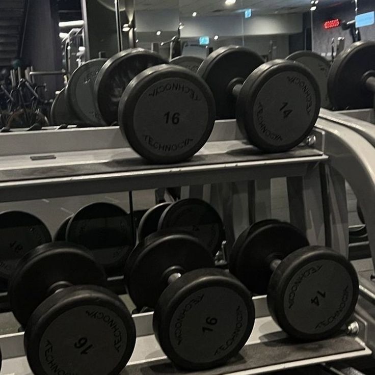 rows of dumbbells are stacked on top of each other in a gym room