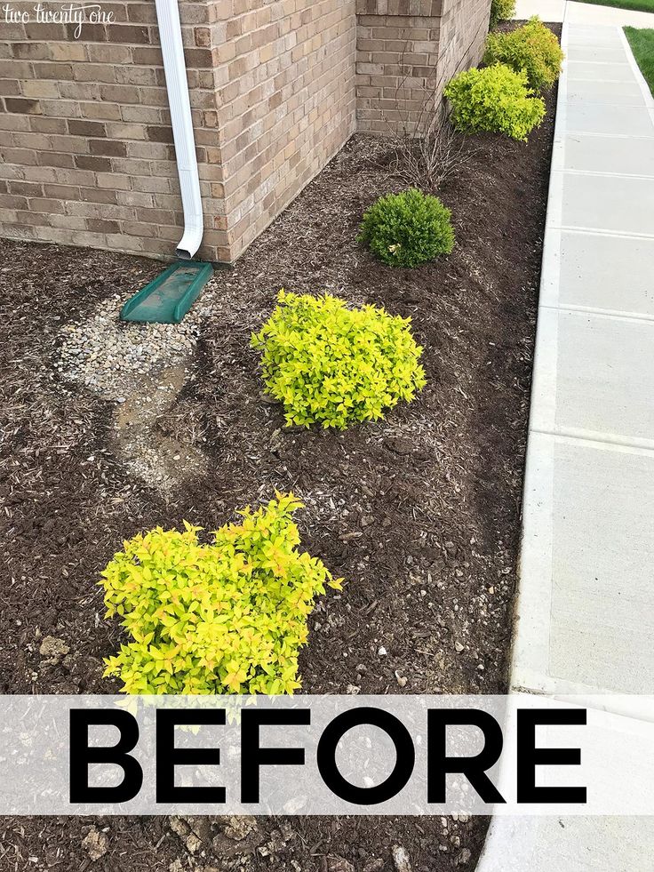 a front yard with mulch and shrubbery before and after it has been cleaned