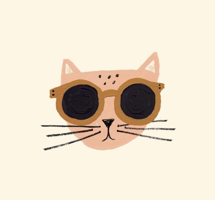 a cat with sunglasses on it's face