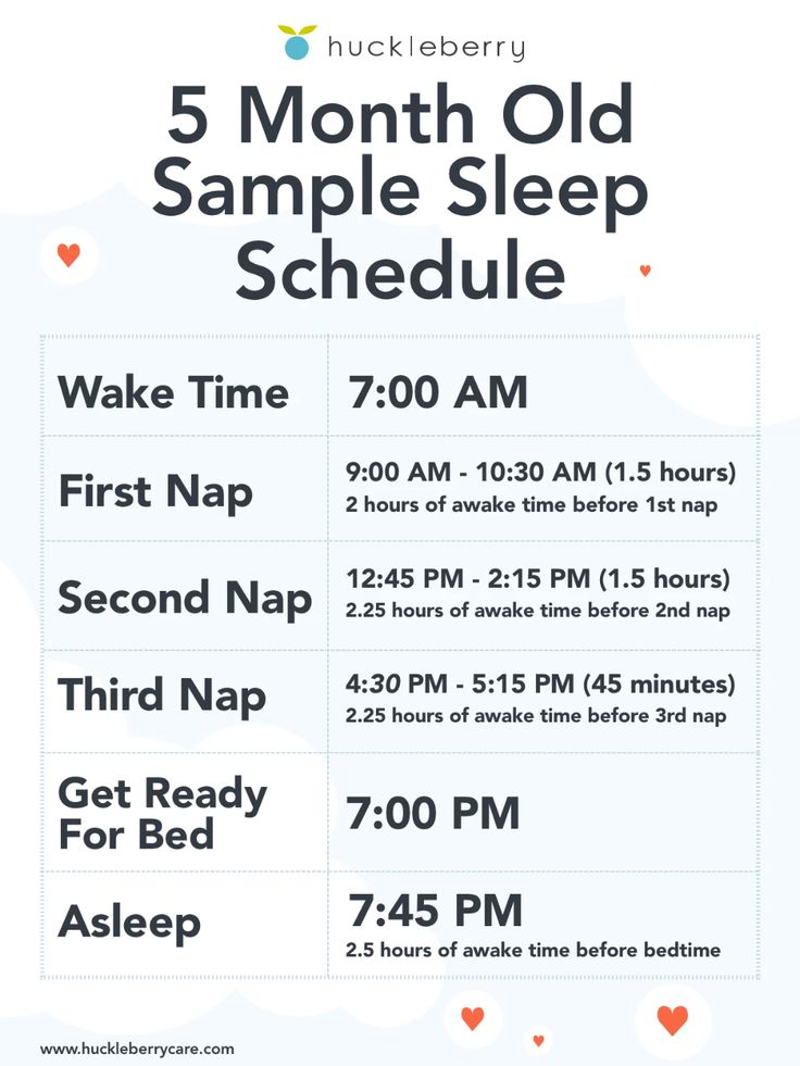 the 5 month old sample sleep schedule is shown in this graphic above it's description