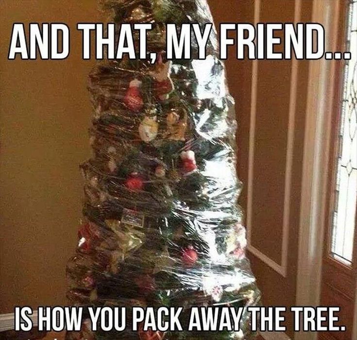 Fake Christmas Trees, Noel Christmas, Christmas Cheer, Holidays And Events, The Tree, All Things Christmas, Winter Christmas, Christmas Humor, Holiday Crafts