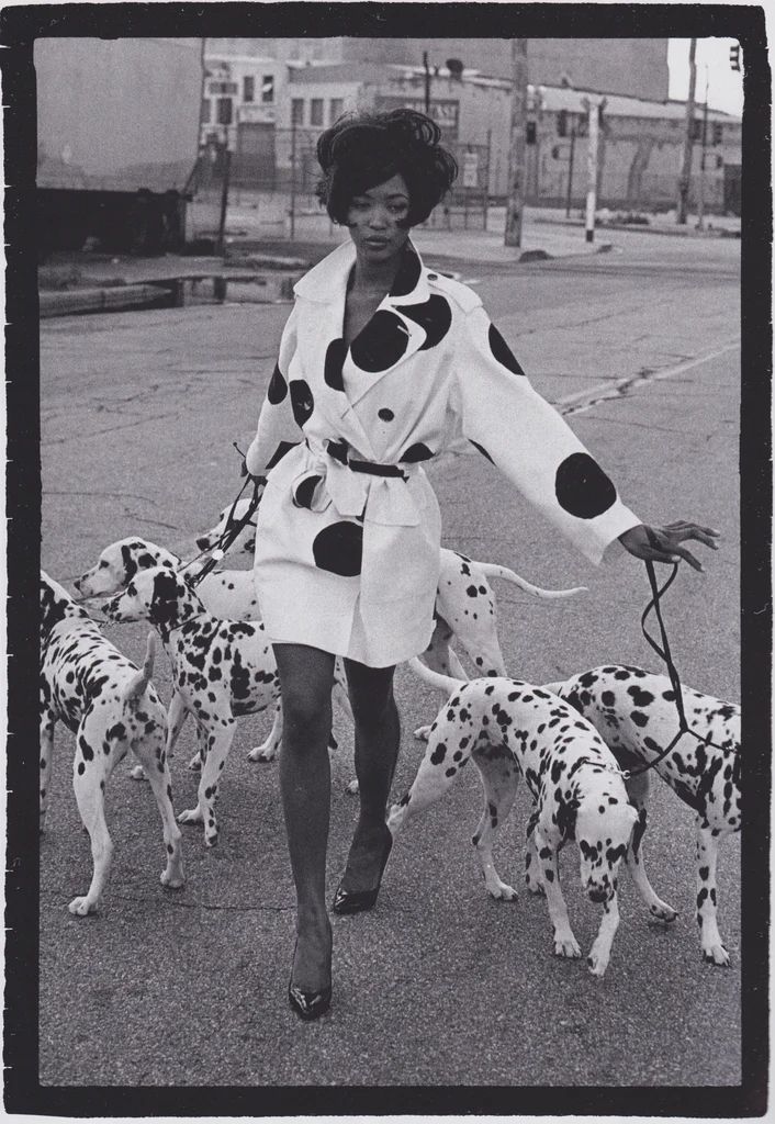 a woman walking two dalmatian dogs on a leash in the middle of the street