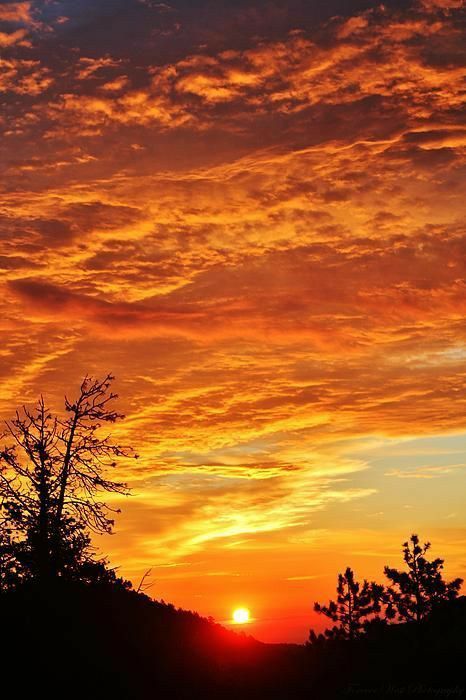 the sun is setting behind some trees