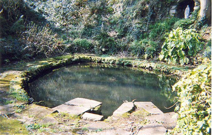 a small pond in the middle of a wooded area with rocks and plants around it