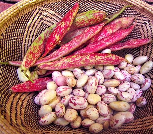 some beans and other vegetables in a basket