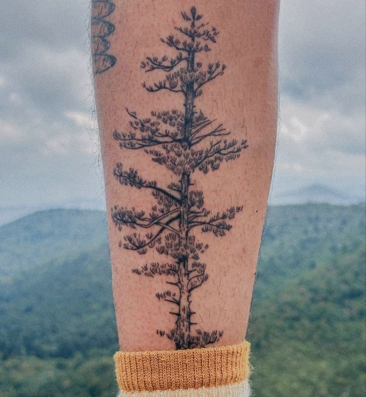 Aspen Tattoo Ideas, Delicate Pine Tree Tattoo, Colorado Tree Tattoo, Cedar Tree Tattoo, Redwood Tree Tattoo, Redwood Tattoo, Wilderness Tattoo, Forest Tattoo, Pine Tree Tattoo