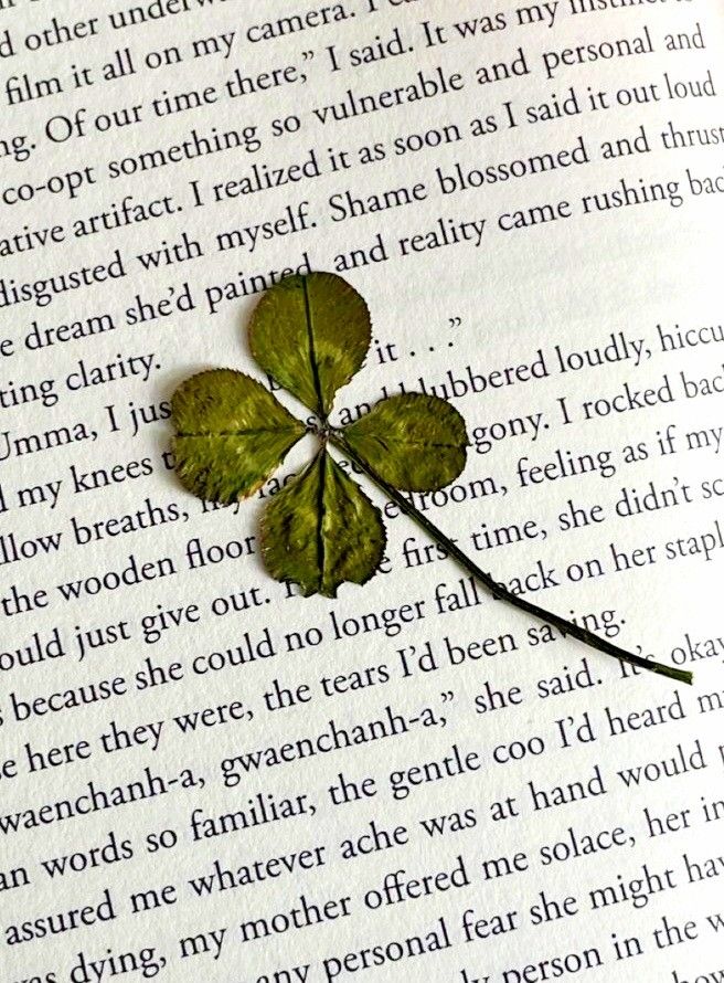 a four leaf clover laying on top of an open book