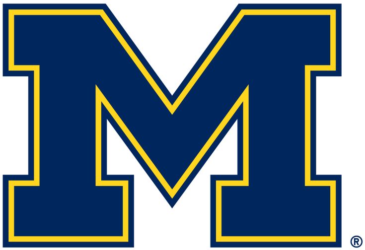 the michigan wolverines logo on a white background