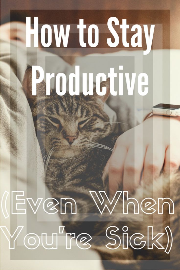 a person holding a cat with the text how to stay productive even when you're sick