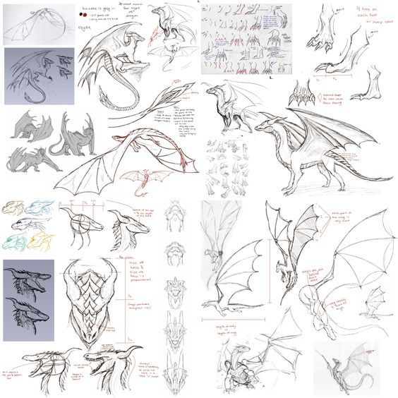 some sketches of different types of dragon wings and their designs for the movie, how to train your dragon