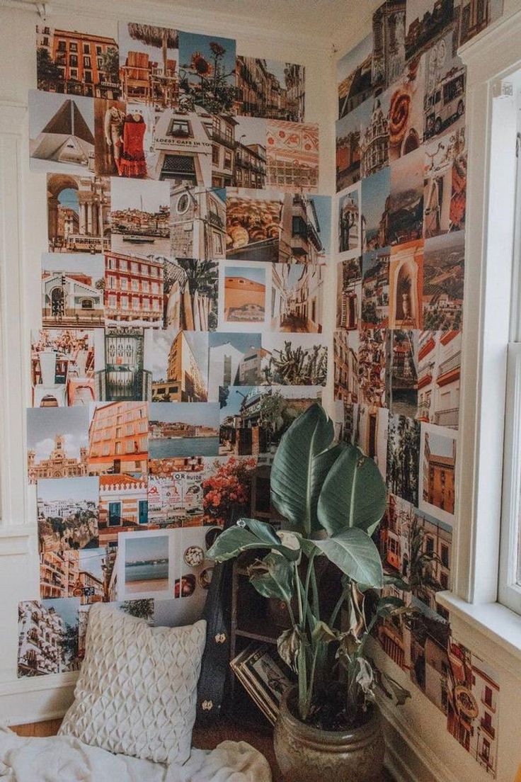 a room with many pictures on the wall and a plant in a pot next to it