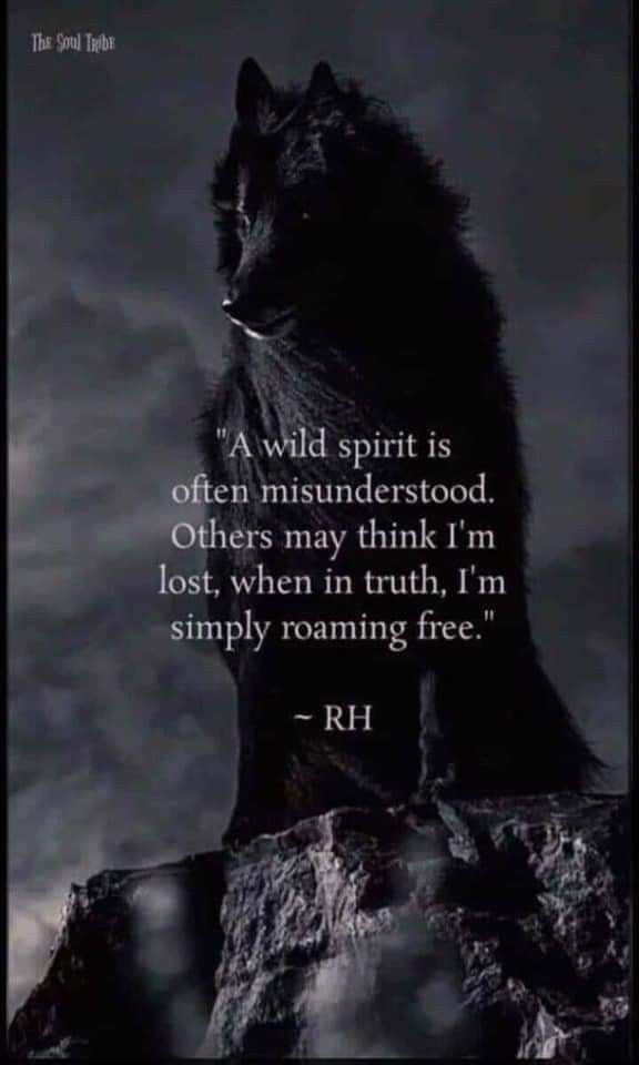 a wolf sitting on top of a rock with a quote above it that reads,'a wild spirit is often instructed