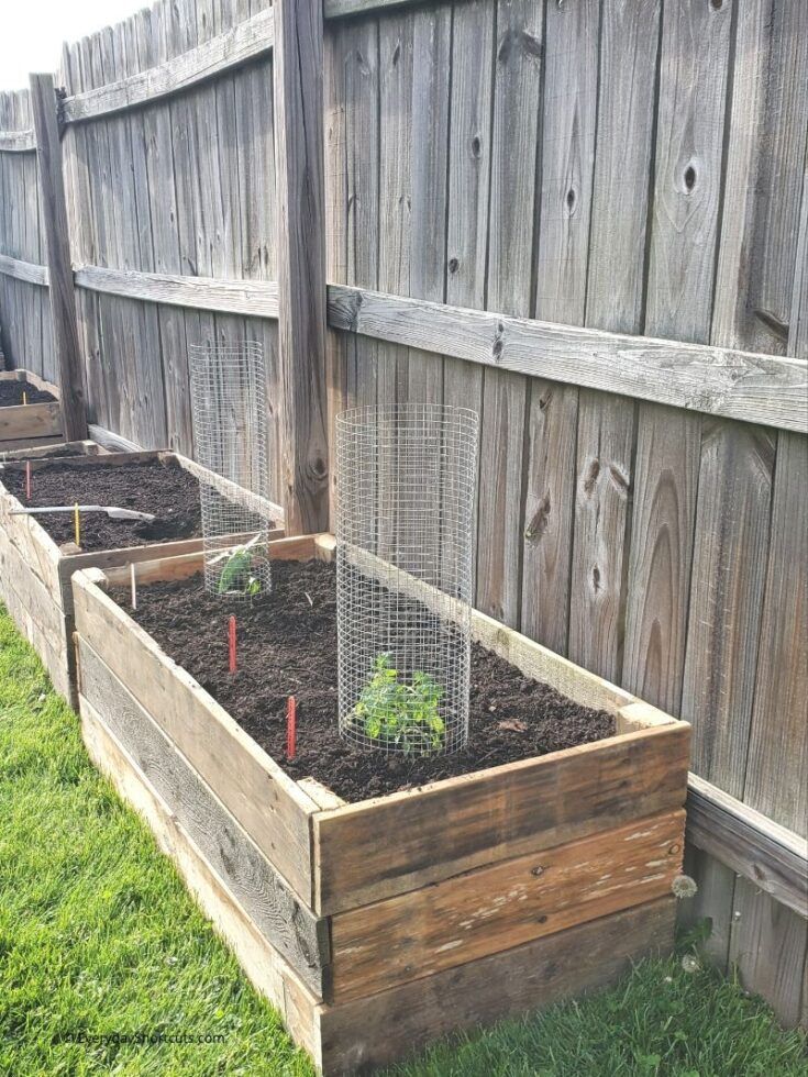 an outdoor garden area with wooden fence and green plants in the ground, surrounded by grass