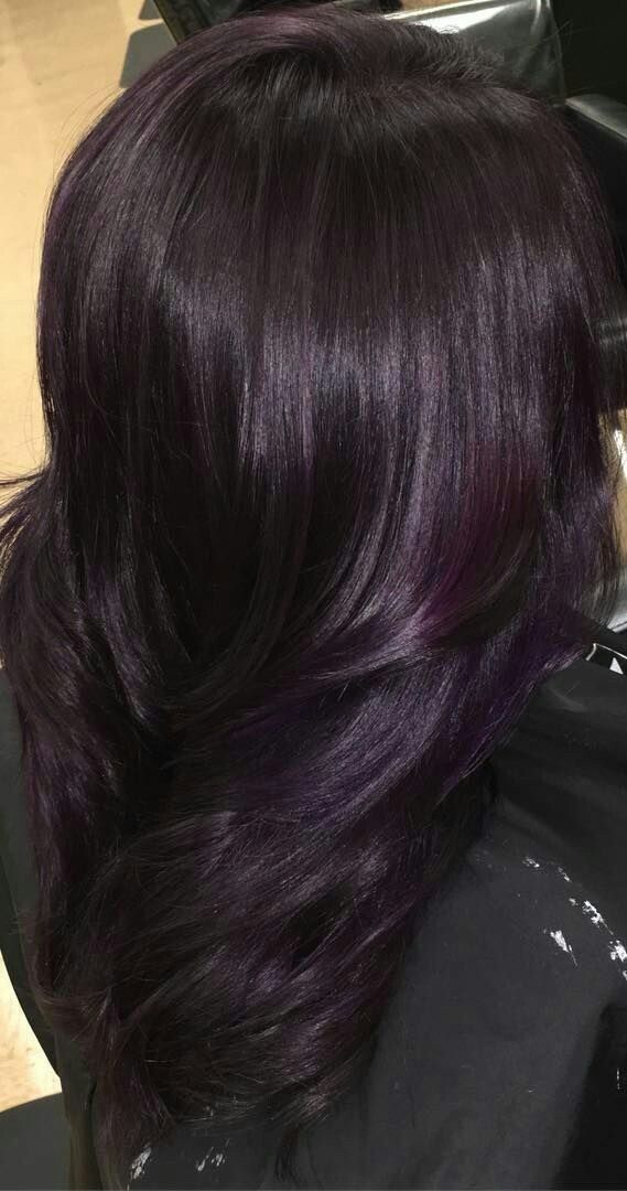 Purple Hair Highlights On Brown Hair, Black Hair With Dark Purple Highlights, Black Plum Hair Color, Black Hair With Purple Tint, Different Hair Color Styles, Plum Curly Hair, Purple Highlights On Black Hair, Purple Hair Colour Ideas, Black Hair Purple Highlights