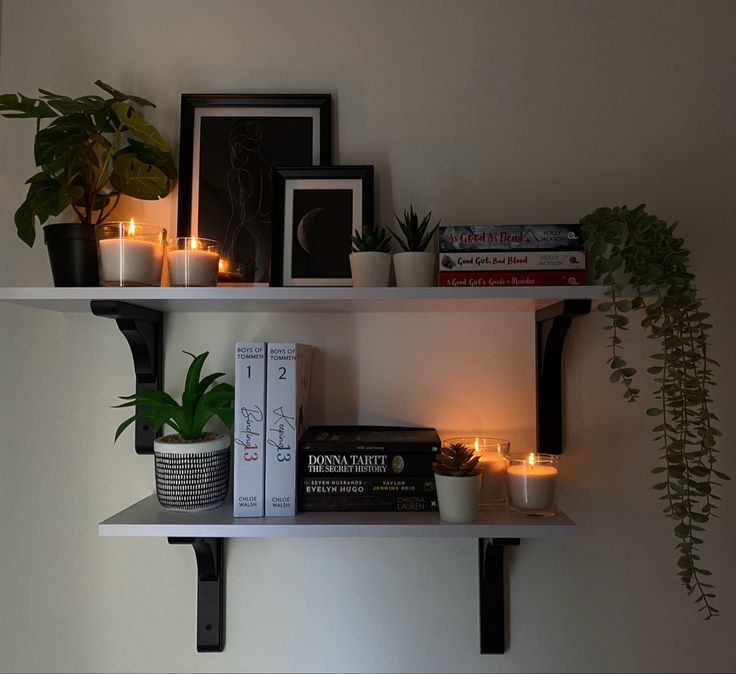 two shelves with candles, books and plants on them