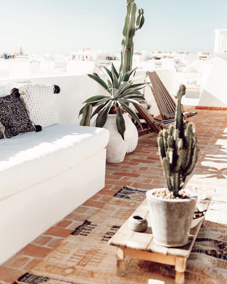 an outdoor seating area with potted plants on the side and white walls in the background